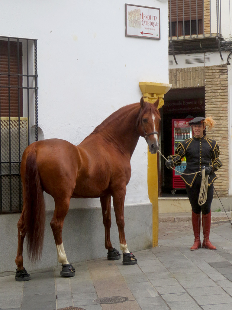 Horse and Man