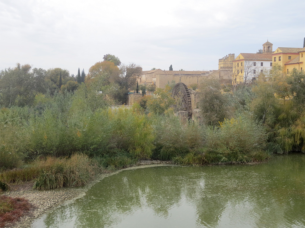 View from Puente Romano