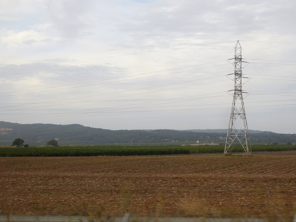 Train View