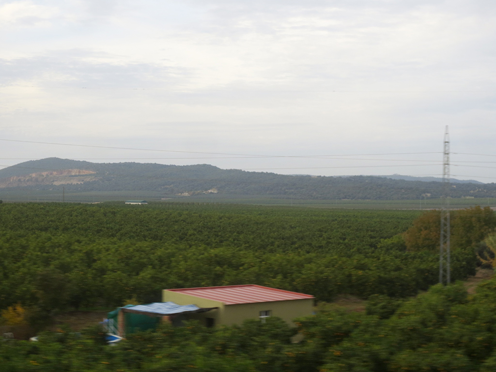 Train View